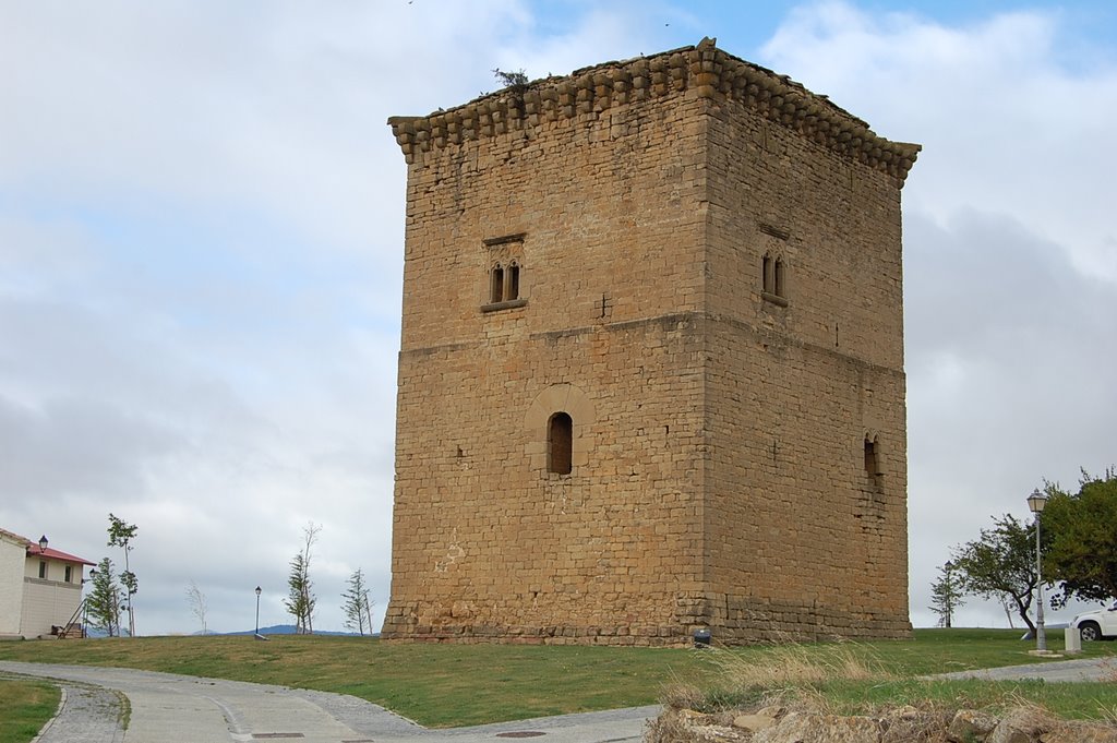 Torre en Olcoz by Pampluno