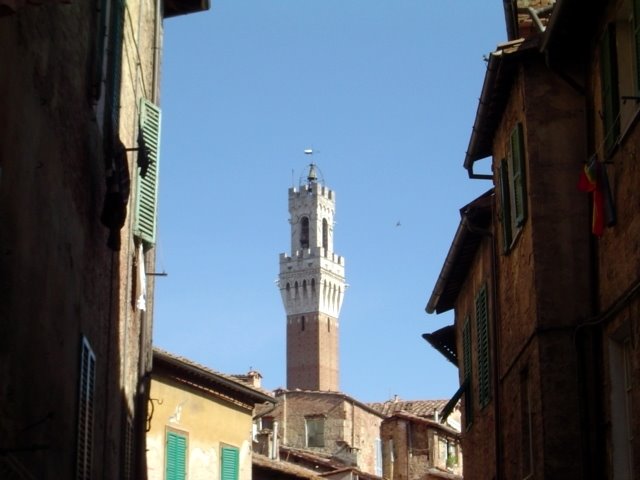 ITALIA Palacio Público, Siena by Talavan