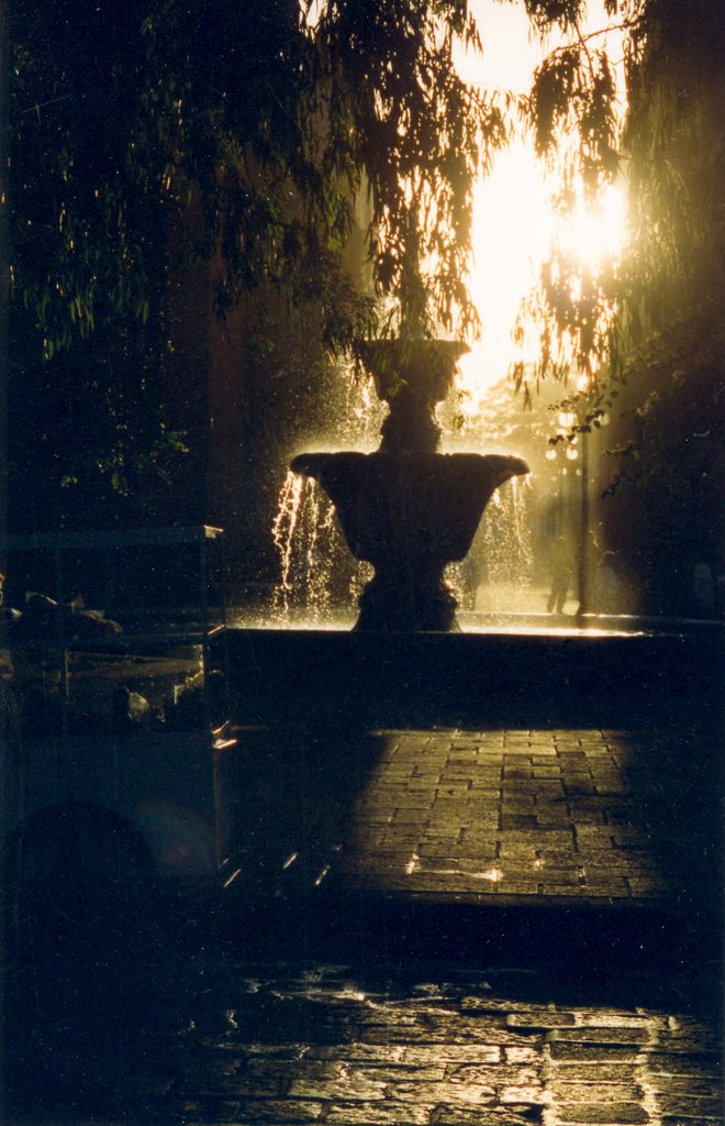 Fuente en el jardín de San Francisco by carling