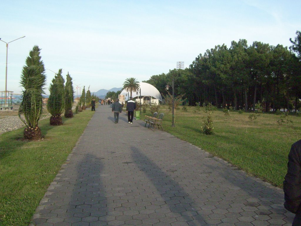 Seaside park of Batumi by Lasha Lomadze