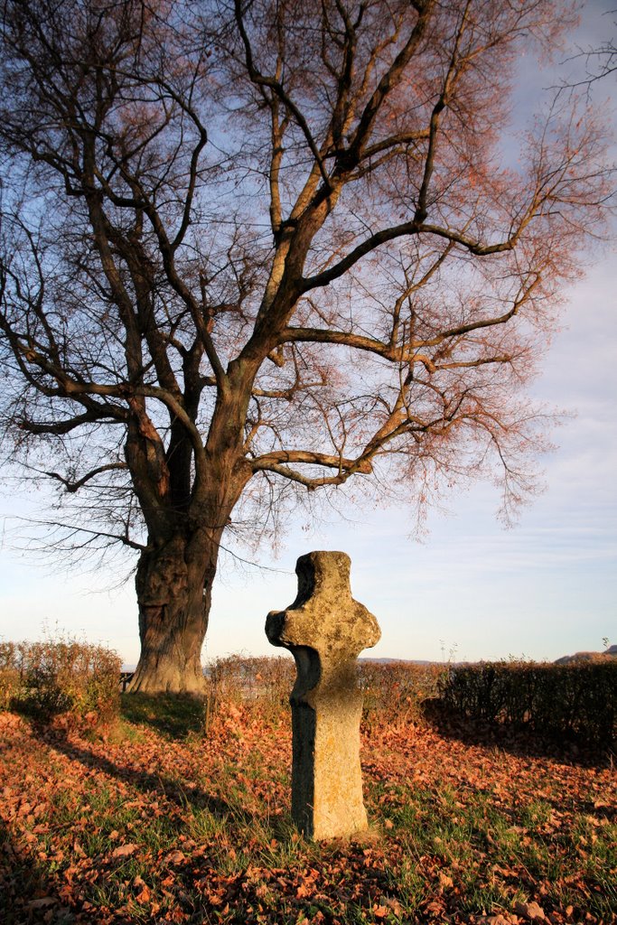 Flächenhaftes Naturdenkmal by stimp℮ℓton