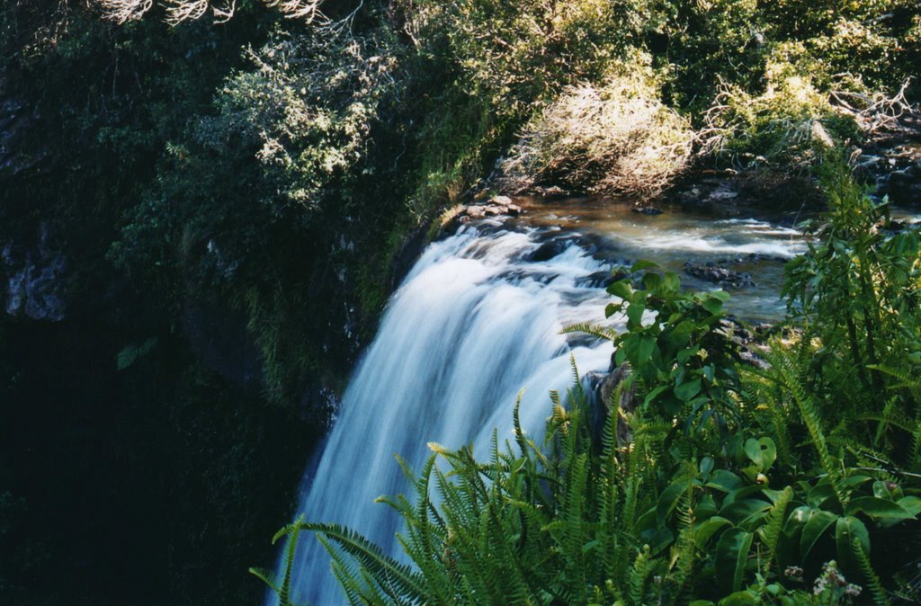 Zillie Falls by Travis Yates