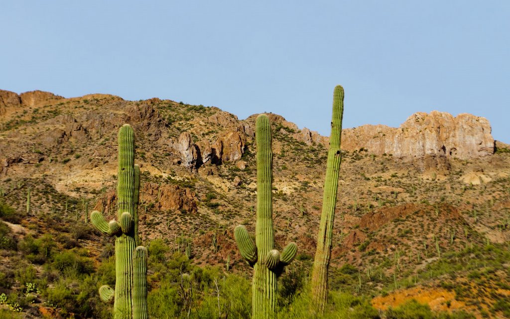 Rogers Trough Hike 06 (Hewitt Canyon Rd) by jenhsld