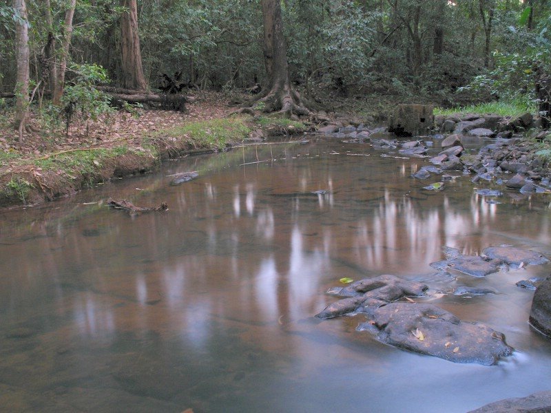 Riacho ao lado do lago do Horto by Wagner Pelarigo