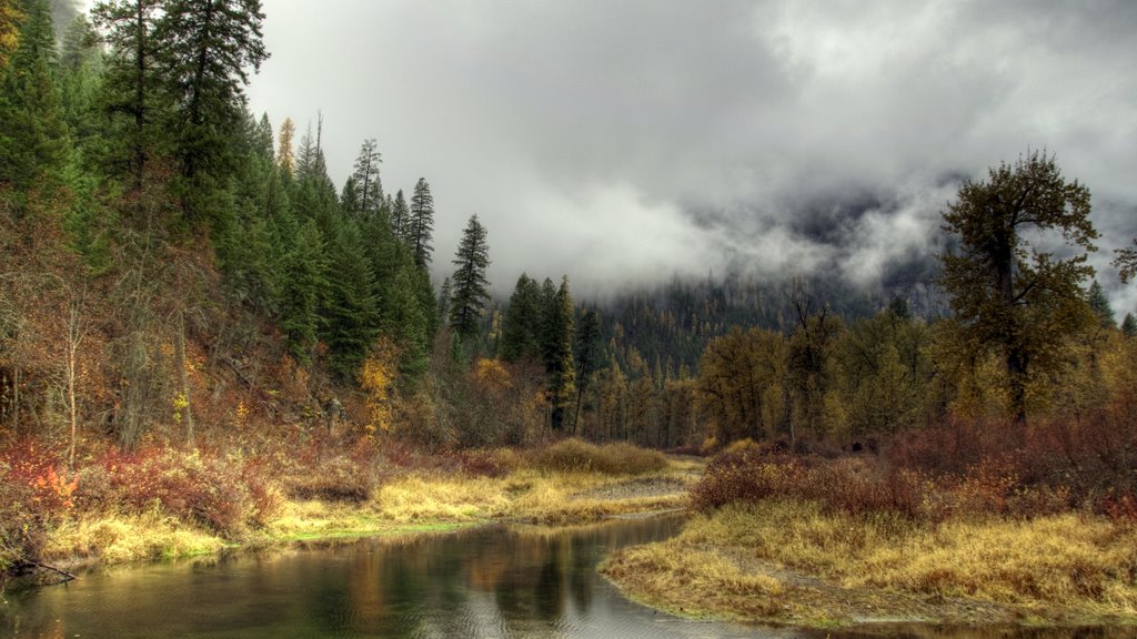 Colville National Forest, WA by Torkilo Fugisani