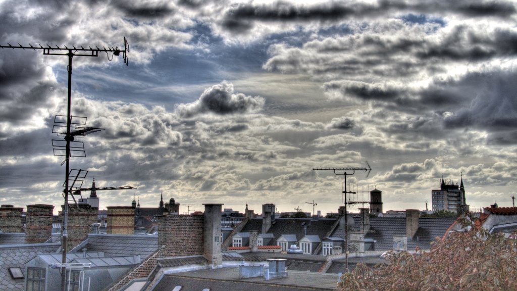 Roofs of Copenhagen by Torkilo Fugisani