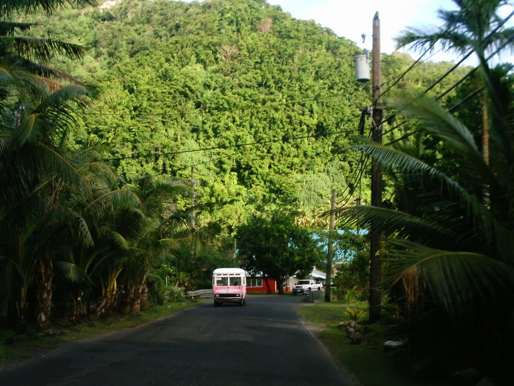 Tutuila roads, American Samoa by Christian Cabre