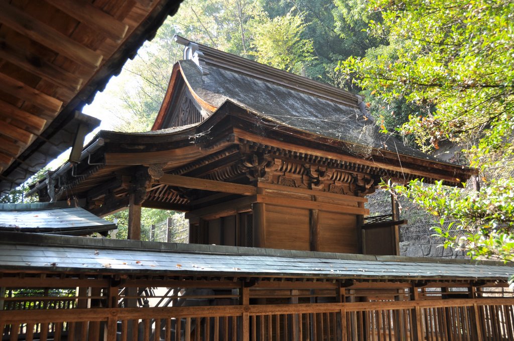 Yamanashi-Oka-Jinja 山梨岡神社 (2009.11.07) by k.takita