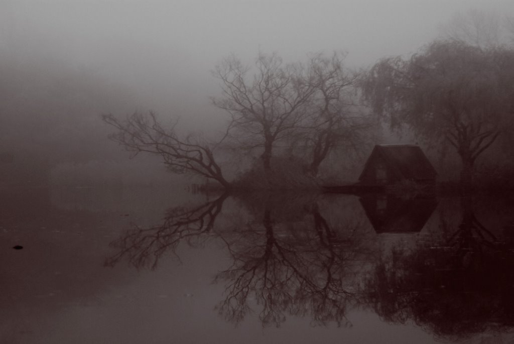 Köd 1. (Matula bácsi kunyhója), Fog 1.(Uncle's Matula hut) by Harsányi István