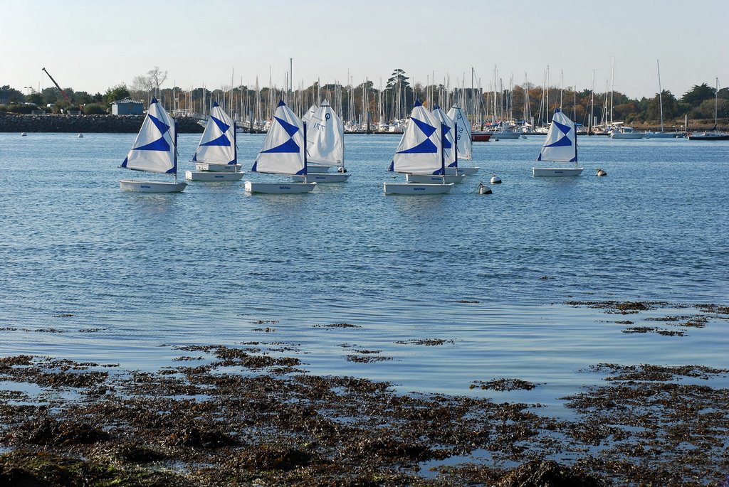 Sail school boats by BritPlom