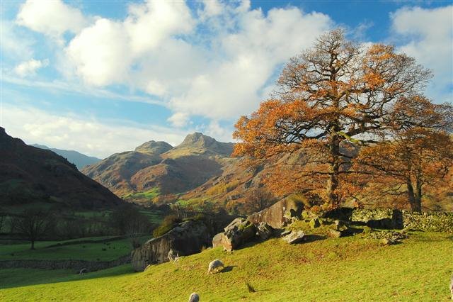 The Langdale Boulders by gitoteho