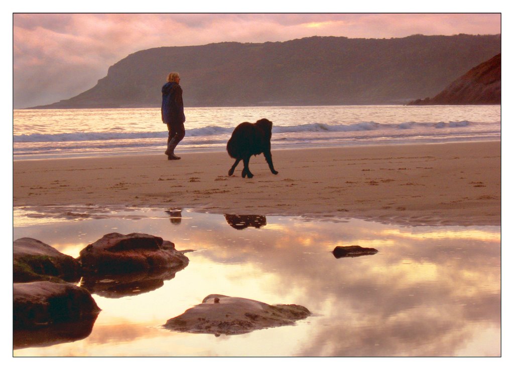 Dog walker, Evening light, Caswell Bay by Desmond Riordan