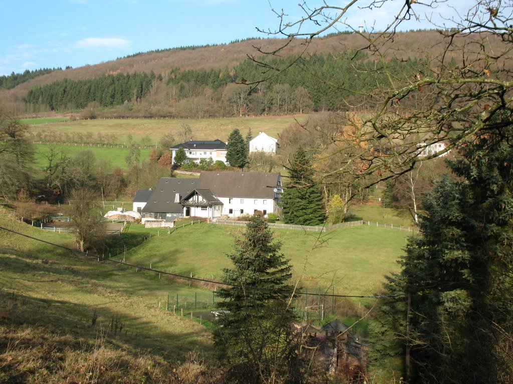 Blick zum Marl, 21. Nov., 14Grad am Morgen, man kann es nicht glauben by goterei