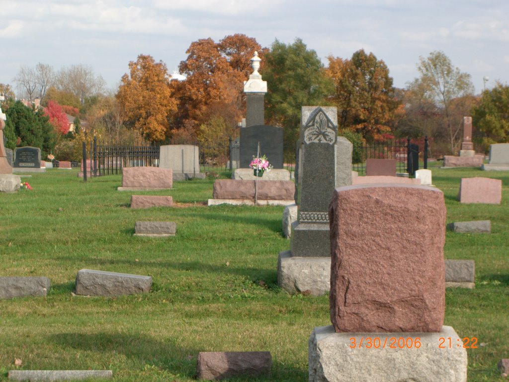 Cemetary on 127th street by yozzej