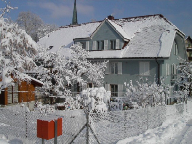 Herzogenbuchsee, Thörigenstrasse 18 - Wo sind die Zwetschgen geblieben ?! - Unter der Lawine ! by Blaues-Haus 1