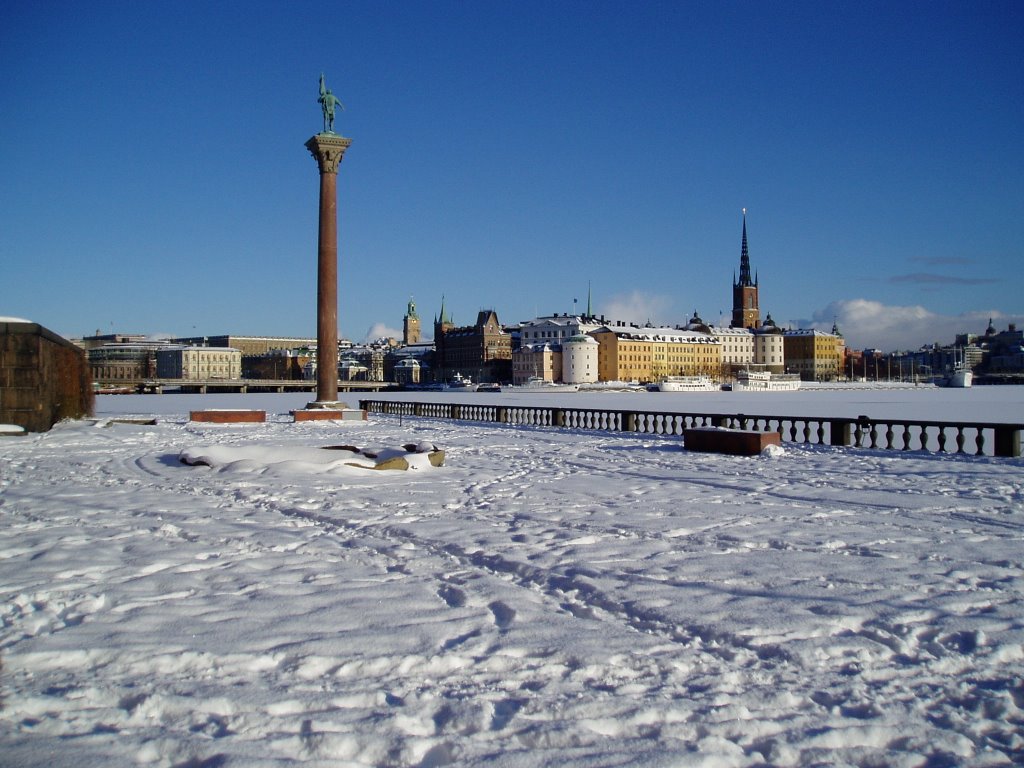 Stockholm City Hall in Snow by Christine Rudolph