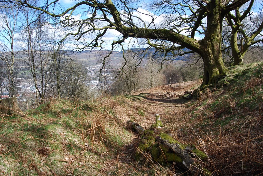 Early spring on the Craig mountain by ceiberboy