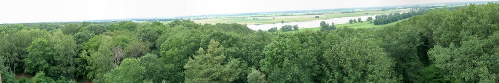 Panorama view from Hoehbeck Observation Tower over river Elbe near Pevestorf (Germany) by joerggabo