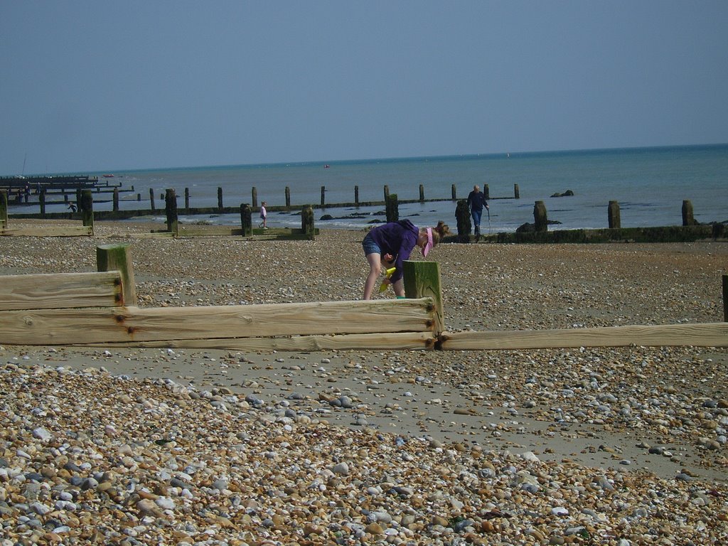 Fun on the beach by neil61