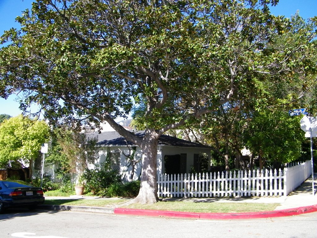 House on Haverford Avenue by Alan Fogelquist