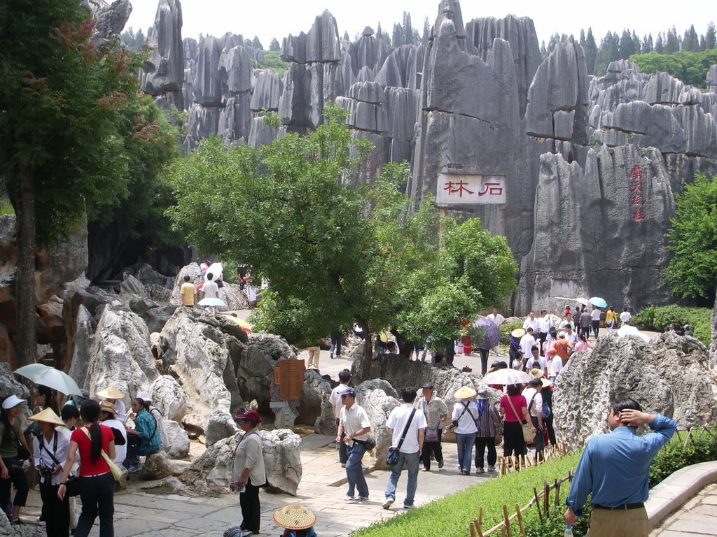 Stone Forest by Kurt Keller