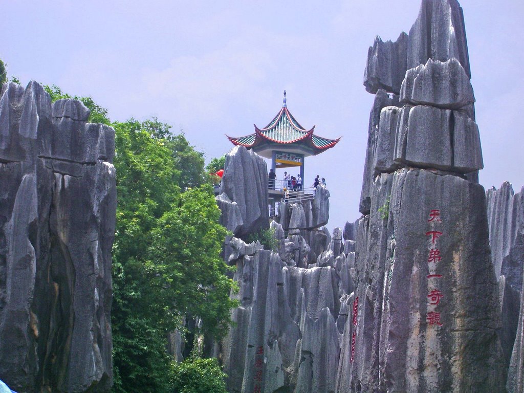 Stone Forest by Kurt Keller