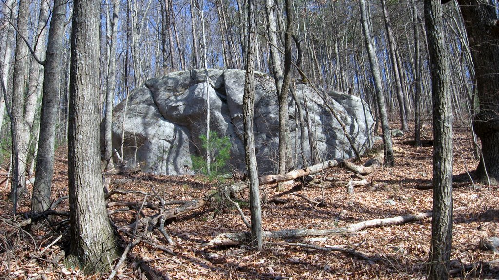 Enormous Rock on Gahuti Mountain Trail by Jackson David Reynolds