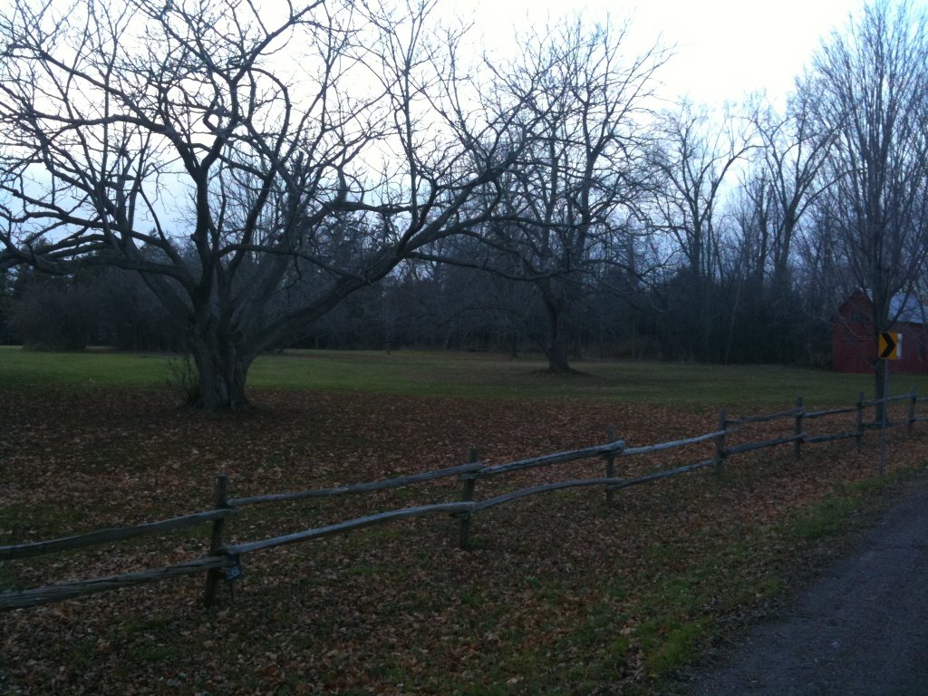 West Shore Rd, fall afternoon by nhayward