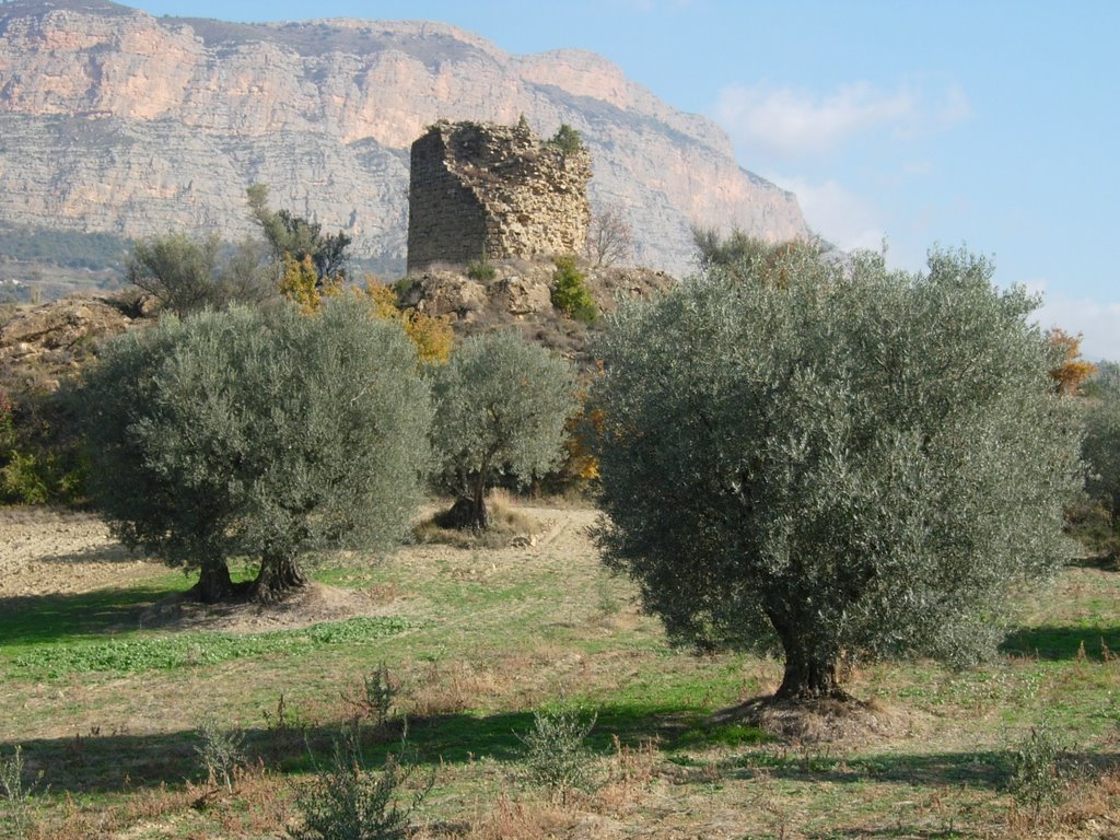 Torre a Aramunt Vell by david freixenet