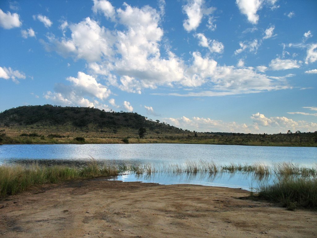 A small lake where a lot of animals get their water by fotokönig