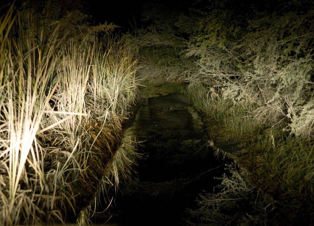 Carrizo Marsh at Night by tommy750