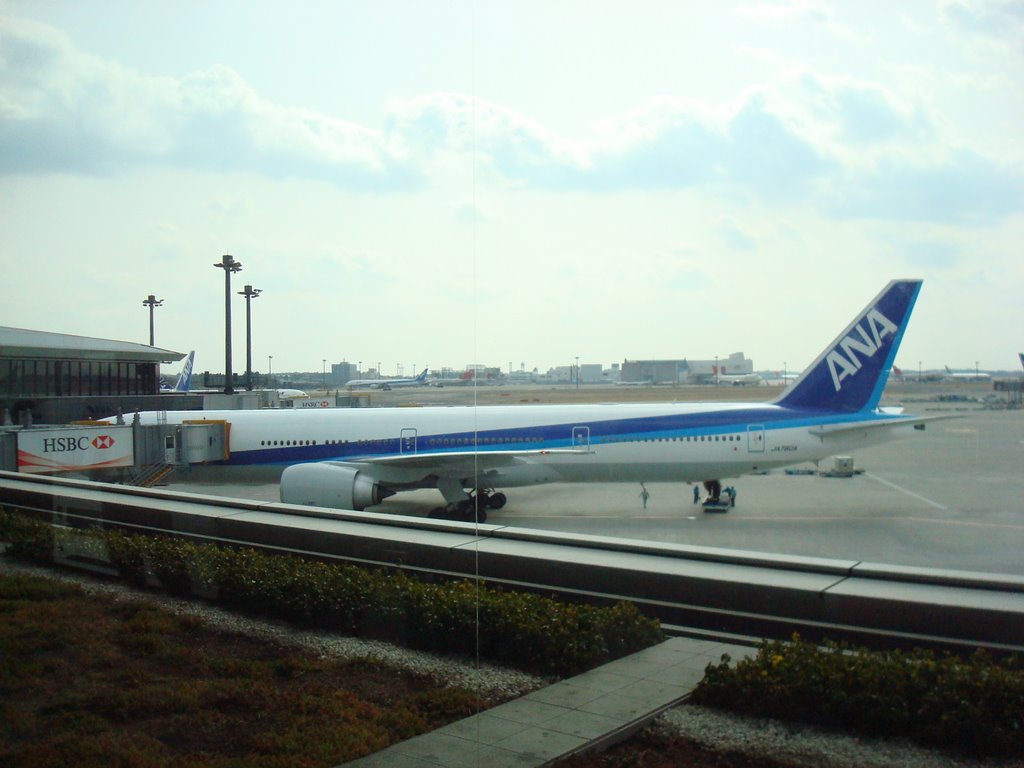 Narita International Airport by sakuram