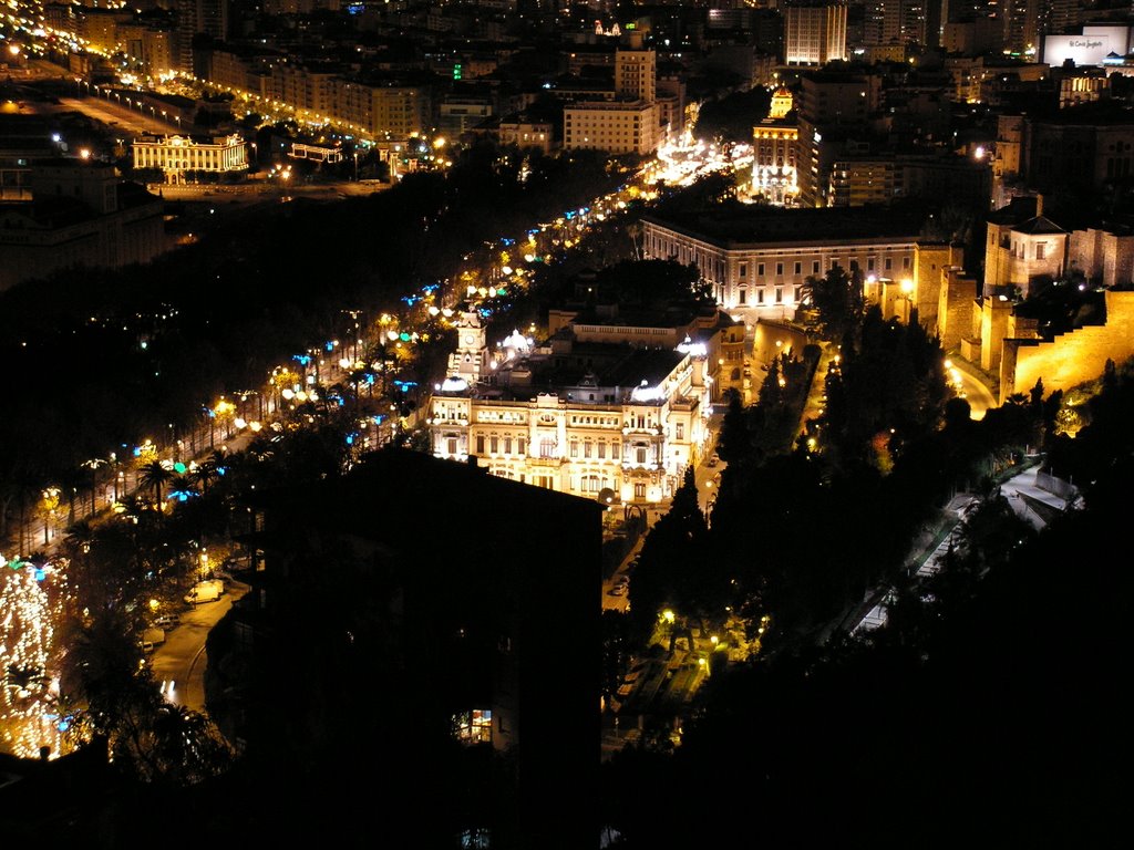 Málaga townhall by night by Ciaran J.Marry