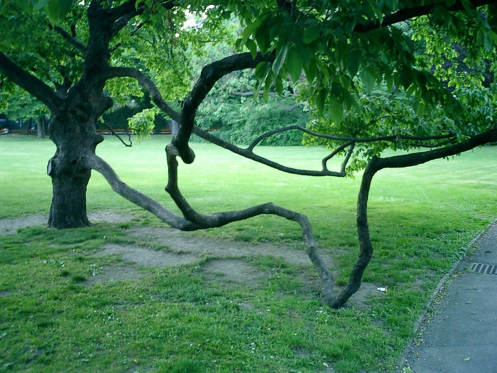 Wien Stadtpark 3 by Millotaurus Grzegorz