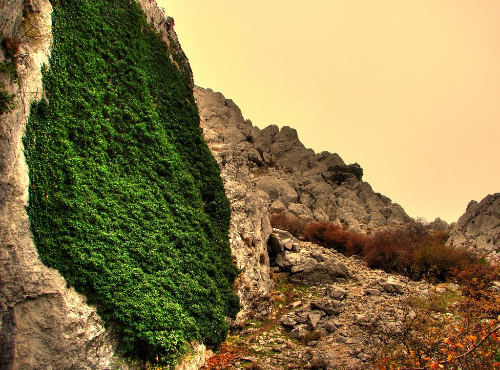 Canuto de bajada del Peñón de la Mata by antonio_aguilera