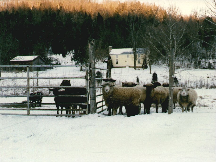 Suppertime, Trimble County by talieber