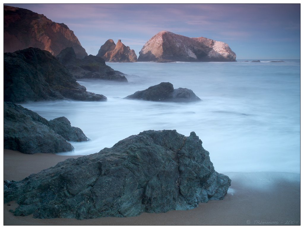 Rocky Shore by Tony Immoos