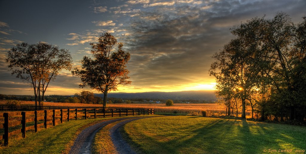 Country Lane Sunset by Tom Lussier Photography