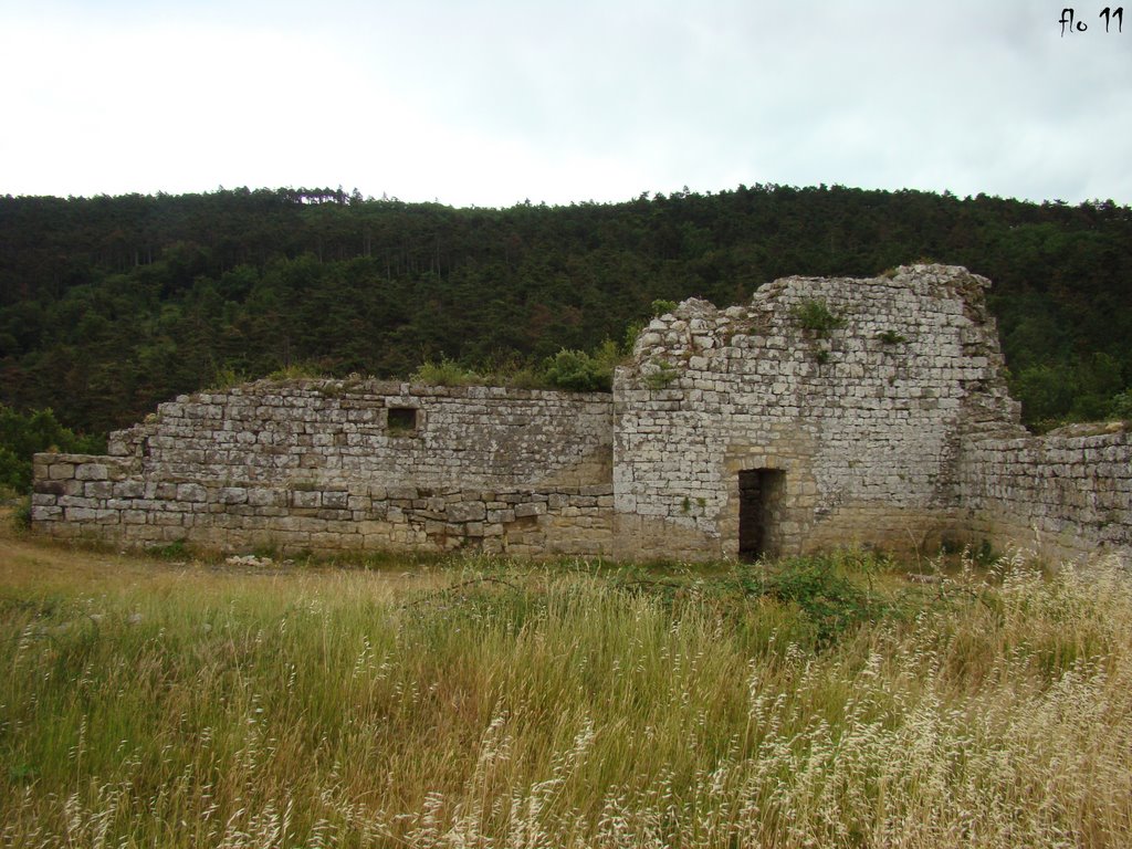 Ruine de Miramont by Flo 11