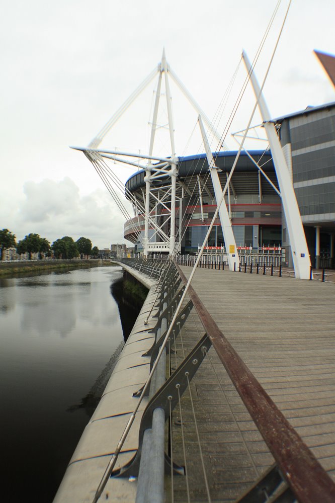 Millenium Stadium by Dener Costa