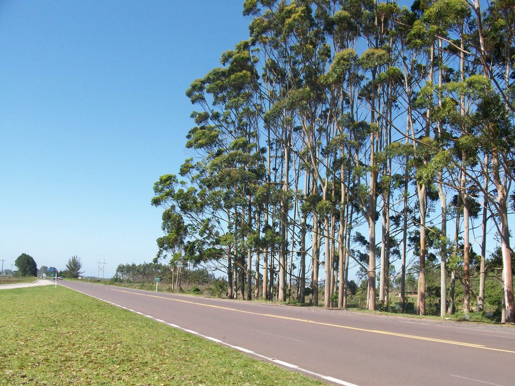 Estrada do Mar - Em frente a Ácqua Lokos by felipemlopes