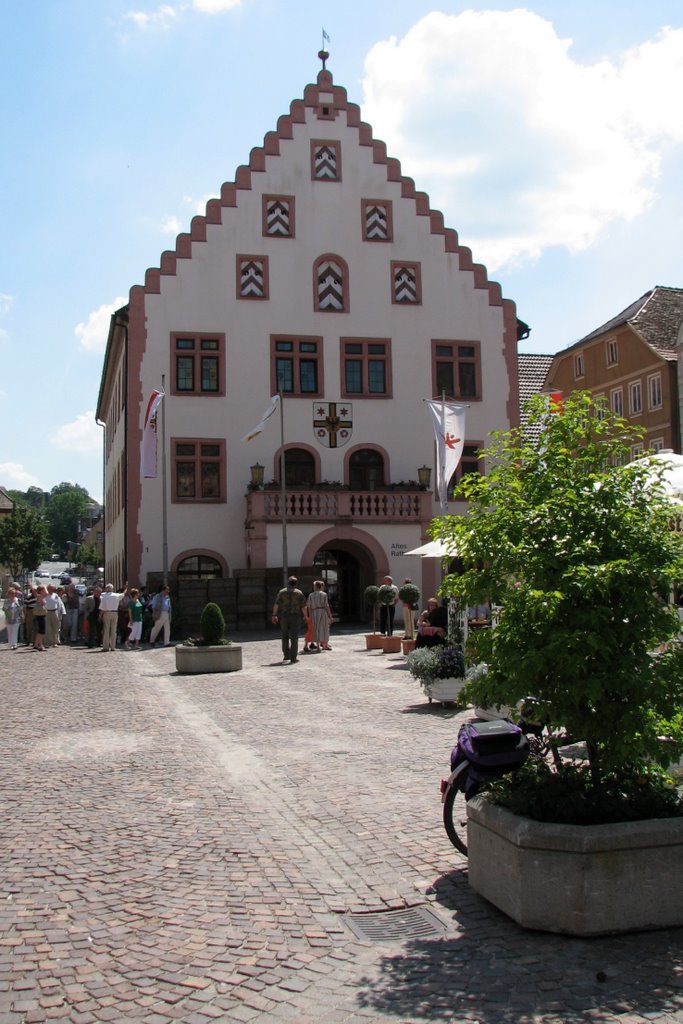 Bad Mergentheim Rathaus by gerhardknoe