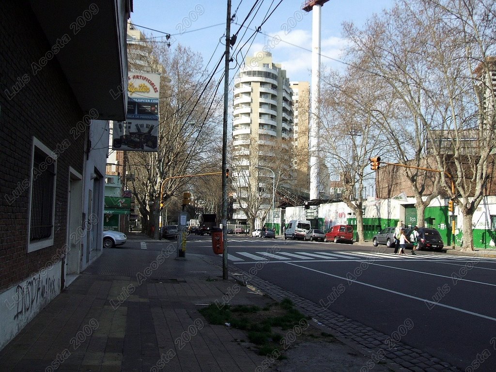 Agosto de 2009 - Av. Avellaneda y Calle Paysandú - Vista hacia el Este by Luis Acosta