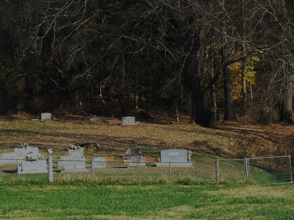 Shamrock Cemetery, near Lee Creek, Arkansas, USA by James Starbird