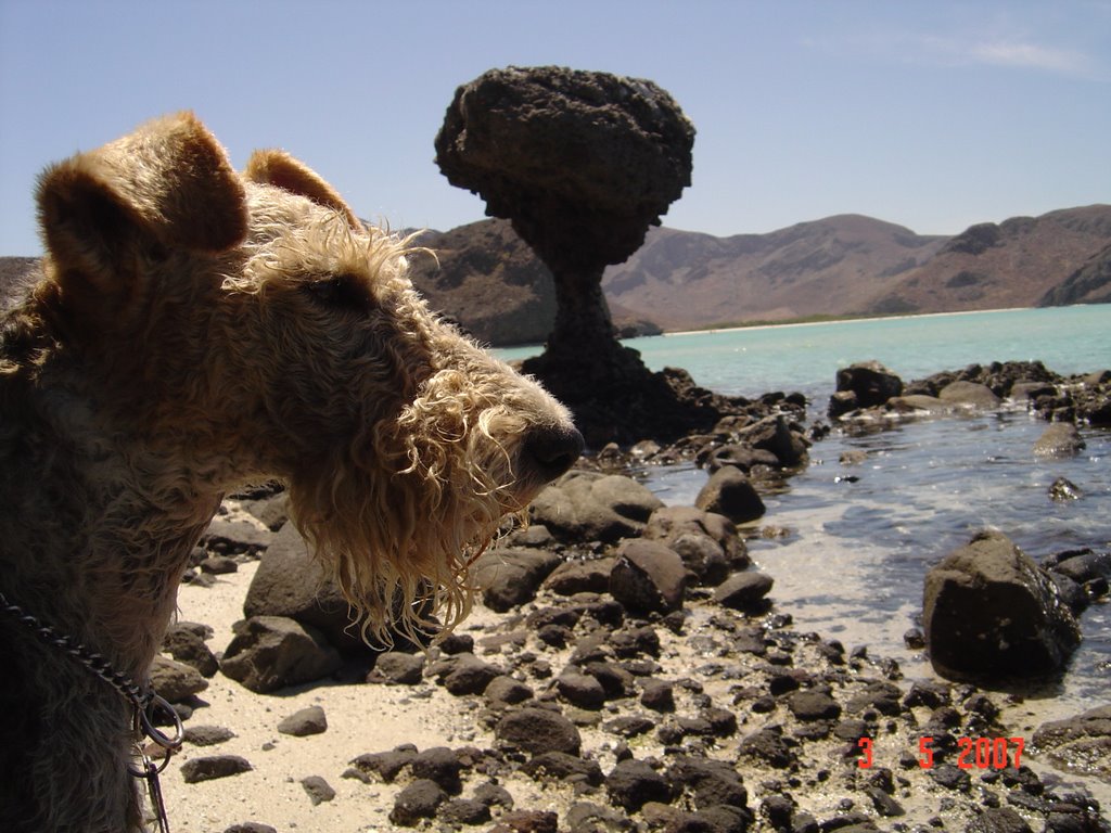 Ayax y el hongo, Bahía Balandra, BCS, May-07 by Adelfa