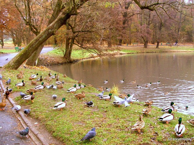 Łódź-park im.Adama Mickiewicza by stevenlodz