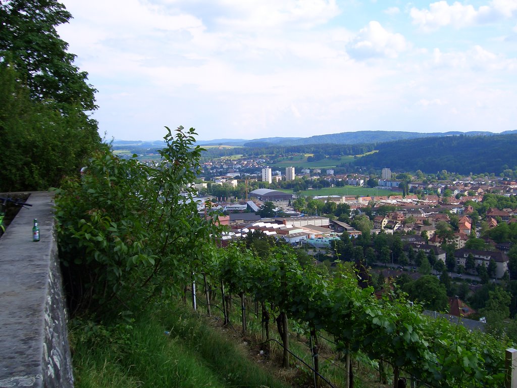 Bäumli, Sicht Richtung Mattenbach by steiny