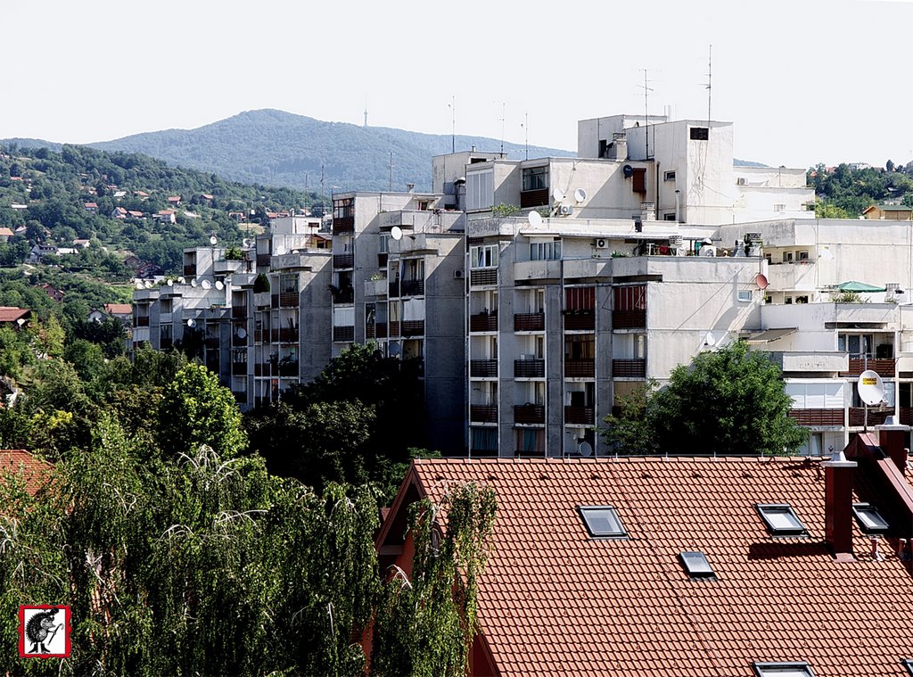 Gajnice - pogled prema sjeveru by jezurka