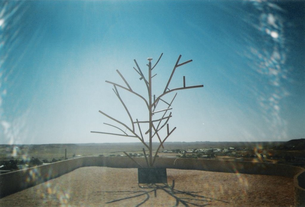 Coober Pedy - Tree by Dennis Brouwer