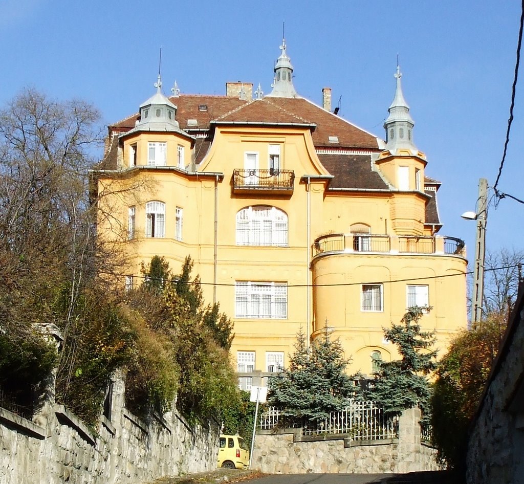 200911251234 Kastély a II. kerületi Aranka utcában (Castle in the 2nd district) by Kornél2009